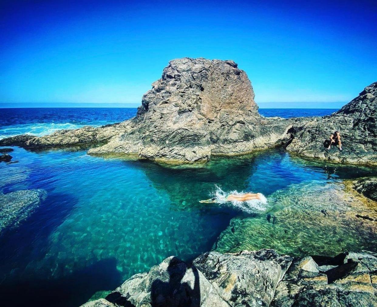 Olas De Lobos